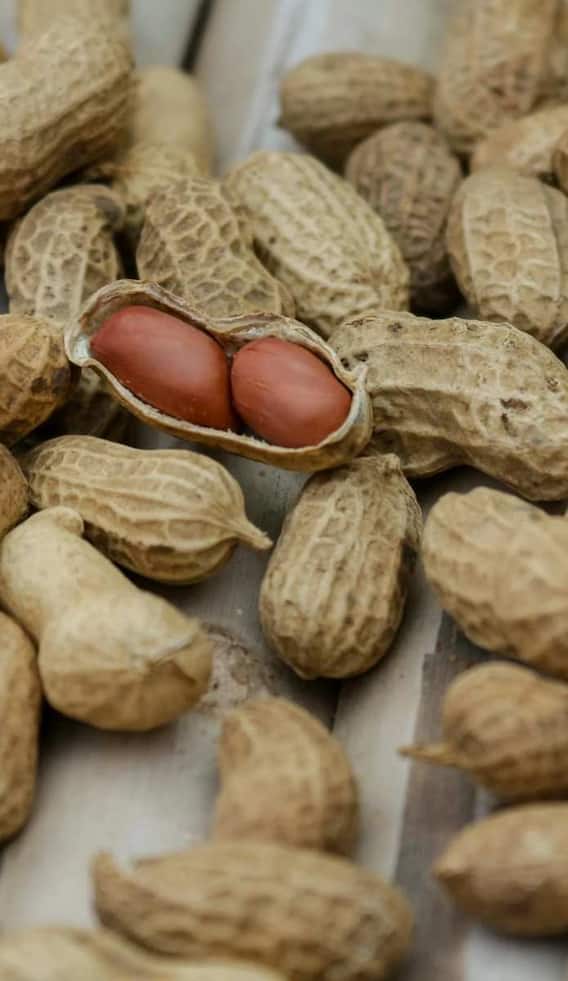 दिल की बीमारी को दूर रख सकती है 50 ग्राम यह चीज