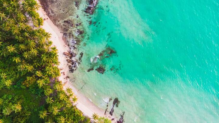 वहीं यूनिवर्सिटी ऑफ ऑकलैंड के शोधकर्ताओं का दावा है कि इस देश का आकार नेचुरली बढ़ गया है.