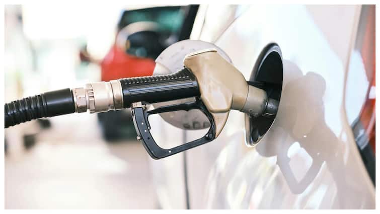 E20 Fuel Impact: Mileage Drop For Some Cars, Warn Experts
