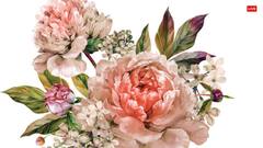 Vastu Tips: घर के मेन गेट पर कभी न रखें ये चीजें, हो सकते हैं कंगाल