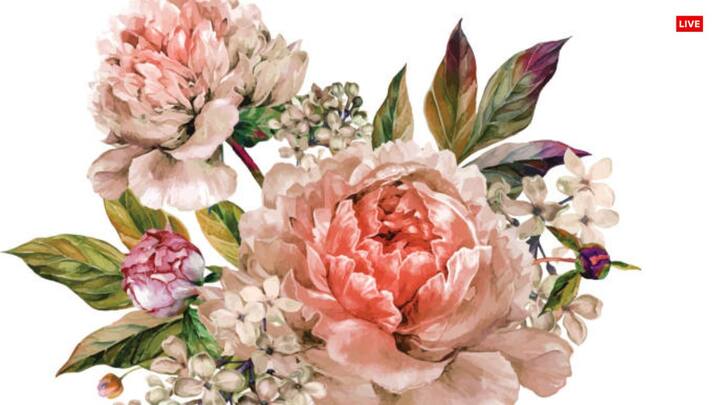 मुख्य द्वार पर कभी सूखे और मुझाए हुए पौधे नहीं रखने चाहिए. इससे नेगेटिविटी घर में प्रवेश करती हैं. बरकत चली जाती है, ऐसी मान्यता है.