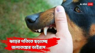 Rabies Virus : জলাতঙ্কে আক্রান্ত শ'য়ে শ'য়ে মানুষ,যাচ্ছে প্রাণ ! কনটেনমেন্ট জ়োন ঘোষণা