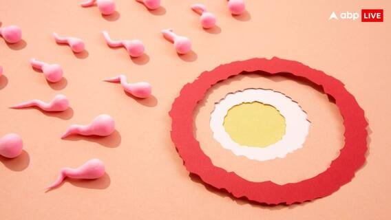 आप भी करवाना चाहते हैं एग या स्पर्म फ्रीज, जानें इसमें कितना खर्चा आता है?