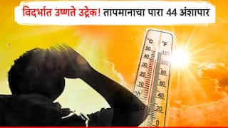 Temperature Heat Wave: विदर्भात उष्णतेची भयंकर लाट येणार, हवामान खात्याचा धोक्याचा इशारा, 'या' जिल्ह्यांनाही हायअलर्ट