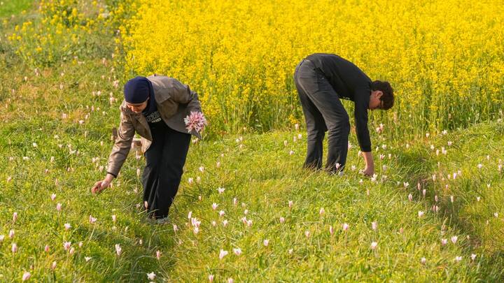 मौसम विभाग के मुताबिक अगले 4 दिनों तक प्रदेश में बादल छाने और हल्की बारिश होने की संभावना जताई गई है.
