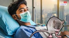 ভিলেন ইঁদুরের প্রস্রাব, বিকল কিডনি-লিভার-ফুসফুস ! কোন মিরাকলে বাঁচল কিশোর?