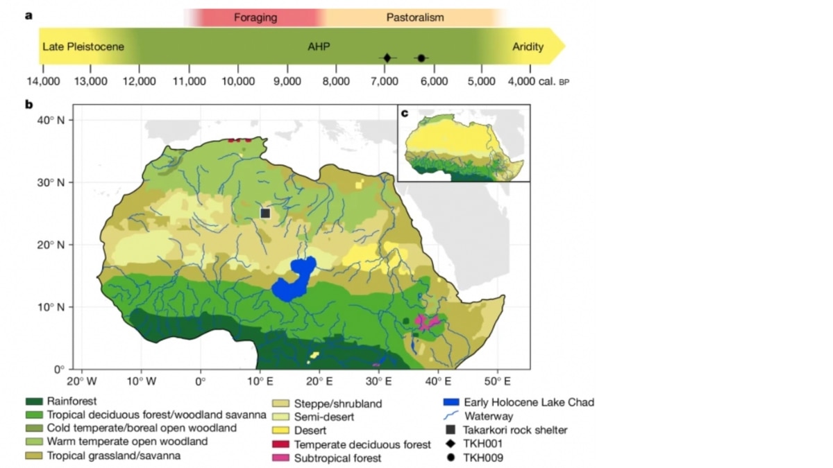 Eco-zones and subsistence strategies in the Sahara region | Photo: Nature.com