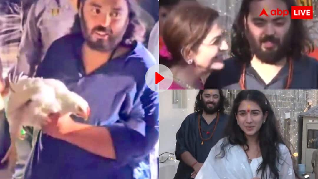 मुर्गी खरीदने से लेकर मां नीता अंबानी के भावुक होने तक, अनंत अंबानी की पदयात्रा में खूब वायरल हुए ये वीडियो Anant Ambani Dwarka padyatra viral video chicken bought Nita Ambani emotional video watch here मुर्गी खरीदने से लेकर मां नीता अंबानी के भावुक होने तक, अनंत अंबानी की पदयात्रा में खूब वायरल हुए ये वीडियो