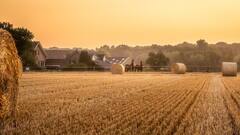 फसल के अवशेष जलाए तो खैर नहीं! देना पड़ा सकता है भारी जुर्माना