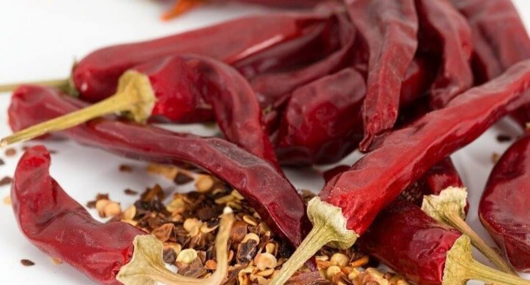 விருதுநகர் சம்பா மிளகாய் வத்தல் விவசாயிகளுக்கு இனி நல்ல விலை கிடைக்கும் - ஏன் தெரியுமா?