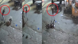 உயிருக்கு போராடும் கர்ப்பிணி.. செங்கல் வீசி சைக்கோ கணவர் கொடூர தாக்குதல்.. வீடியோவ பார்க்காதீங்க!
