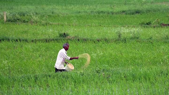 आपको बता दें कृषि विभाग की ओर से किसानों को किसान पहचान पत्र यानी फार्मर आईडी कार्ड बनवाने के लिए सूचना जारी कर दी गई है. सभी किसानों को बता दिया गया है 30 अप्रैल तक उन्हें यह पहचान पत्र बनवाना होगा.