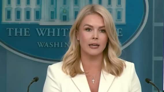 ‘Boys Will Be Boys’: White House Reacts To Elon Musk-Peter Navarro Feud Over US Tariffs