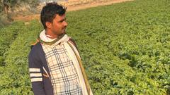 यूपी में फसलों के नुकसान पर किसानों को मिलेगी बड़ी राहत, कृषि मंत्री ने किया बड़ा ऐलान