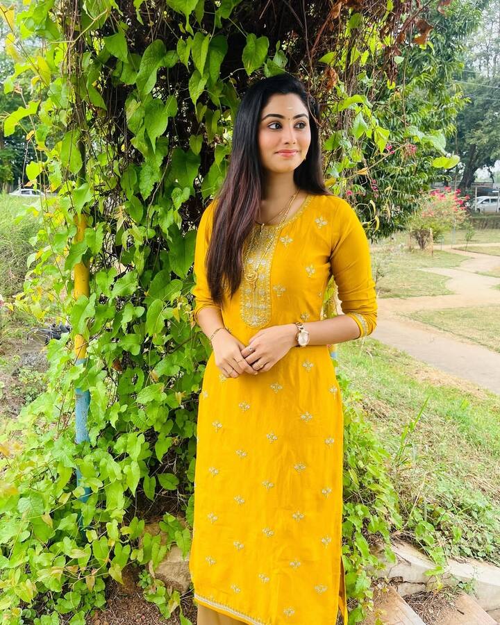 எனக்கு 3 படங்களில் நடிக்கும் வாய்ப்பு வந்தது. அதில், 2 படங்களில் வெளிப்படையாகவே அட்ஜெஸ்ட்மெண்ட் செய்து கொள்ள வேண்டும் என்றார்கள். அப்படி ஒரு வாய்ப்பு எனக்கு வேண்டாம் என்று சொல்லிவிட்டேன்.