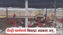 'कोंबडी चोर' बिबट्या पोल्ट्रीत शिरला, कोंबड्यांचा फडशाही पाडला, पण लाईट गेल्याने पंचायत झाली; शेतकऱ्याच्या लक्षाच येताच... Viral Video