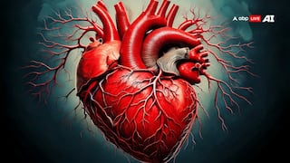 लिवर की तरह क्या आपका हार्ट भी हो सकता है फैटी? जान लीजिए जवाब