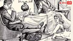 तस्वीर में छुपी हैं दो बिल्लियां, लेकिन दिखती ही नहीं! इंटरनेट पर चल रहा ‘बिल्ली खोजो’ मिशन