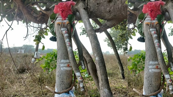 Lord Ganesha: కలలో కనిపించిందే నిజమైంది.. మర్రిచెట్టు నుంచి ఉద్భవించిన వినాయకుడు!