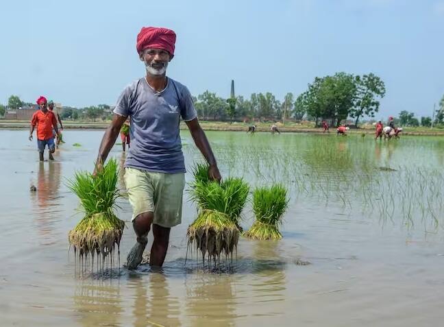 સરકાર દ્ધારા આ ખેડૂતોને ચાર મહિનાના સમયગાળા પર 2000 રૂપિયાનો હપ્તો મોકલવામાં આવે છે. એક વર્ષમાં ખેડૂતોને આવા કુલ 3 હપ્તા આપવામાં આવે છે. દેશના કરોડો ખેડૂતોને આનો લાભ મળે છે.