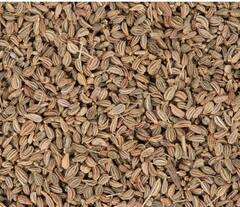 ਔਸ਼ਧੀ ਗੁਣਾਂ ਨਾਲ ਭਰਪੂਰ ਰਸੋਈ ਦੇ ਇਸ ਮਸਾਲੇ ਦੇ ਸੇਵਨ ਨਾਲ ਸਰੀਰ ਨੂੰ ਮਿਲਦੇ ਗਜ਼ਬ ਫਾਇਦੇ! ਪਾਚਨ ਤੰਤਰ ਨੂੰ ਮਜ਼ਬੂਤ ਸਣੇ ਜੋੜਾਂ ਦੇ ਦਰਦ ਤੋਂ ਮਿਲੀ ਰਾਹਤ