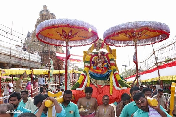 Vontimitta Sri Kodandarama Swamy: మోహినీ అలంకారంలో జగన్మోహనుడు - దర్శించుకుంటే చాలు మిమ్మల్ని ఆవహించిన మాయనుంచి బయటపడతారు!