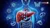 Hepatitis A, B, C, D, And E — Know The Key Differences, Symptoms, And Prevention Strategies