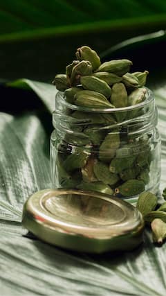 ਕਾਲੀ ਇਲਾਇਚੀ ਖਾਣ ਦੇ ਹੁੰਦੇ ਕਈ ਫਾਇਦੇ