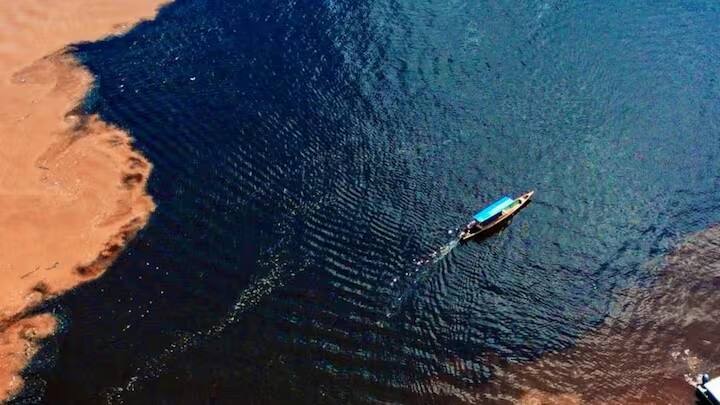 રસપ્રદ વાત એ છે કે આજ સુધી આ નદી પર કોઈ પુલ બનાવવામાં આવ્યો નથી. આનું કારણ નદીની નરમ માટી છે. એમેઝોન નદીને મીઠા પાણીનો સ્ત્રોત માનવામાં આવે છે, તેથી તેમાં ઘણી ડોલ્ફિન છે.