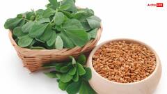 बवासीर के दर्द और सूजन से राहत दिलाए ये 5 तरह की सब्जियां, कठोर से कठोर मल भी हो जाएगा नरम