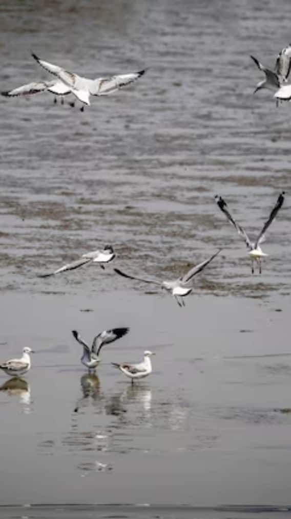 गुजरात में बच्चों के साथ घूमने के लिए 3 बेहतरीन जगहें