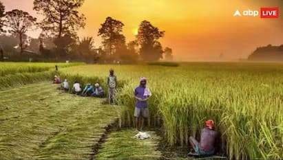 Farmer News: ਭਾਰਤ ਦੀ ਅੱਧੀ ਤੋਂ ਵੱਧ ਆਬਾਦੀ ਅਜੇ ਵੀ ਖੇਤੀਬਾੜੀ ਤੇ ਕਿਸਾਨਾਂ ਰਾਹੀਂ ਆਪਣਾ ਗੁਜ਼ਾਰਾ ਚਲਾਉਂਦੀ ਹੈ। ਭਾਰਤ ਸਰਕਾਰ ਕਿਸਾਨਾਂ ਲਈ ਵੱਖ-ਵੱਖ ਤਰ੍ਹਾਂ ਦੀਆਂ ਯੋਜਨਾਵਾਂ ਵੀ ਲਿਆਉਂਦੀ ਹੈ।
