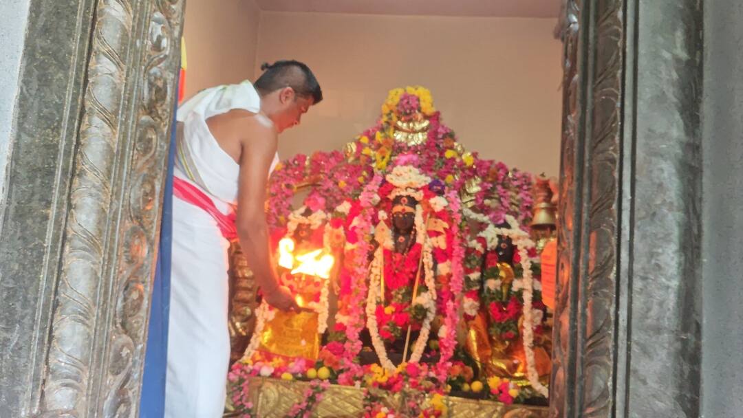 தஞ்சை மாவட்ட கோயில்களில் பங்குனி உத்திர சிறப்பு வழிபாடு Panguni Uttaram Special worship temples of Thanjavur district tnn தஞ்சை மாவட்ட கோயில்களில் பங்குனி உத்திர சிறப்பு வழிபாடு