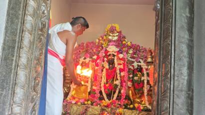 Panguni Uttaram Special worship  temples of Thanjavur district tnn தஞ்சை மாவட்ட கோயில்களில் பங்குனி உத்திர சிறப்பு வழிபாடு