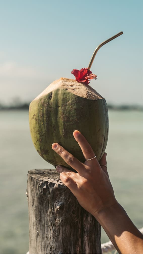 ਇਨ੍ਹਾਂ ਲੋਕਾਂ ਲਈ ਜ਼ਹਿਰ ਤੋਂ ਘੱਟ ਨਹੀਂ ਨਾਰੀਅਲ ਪਾਣੀ, ਪਿੱਛੇ ਲੱਗ ਜਾਣਗੀਆਂ ਕਈ ਬਿਮਾਰੀਆਂ
