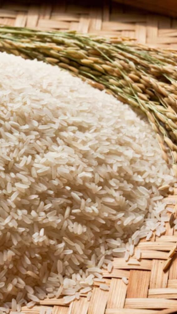 ब्राउन और व्हाइट राइस में क्या अंतर होता है