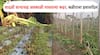 Unseasonal Rain : वादळी वाऱ्यासह अवकाळी पावसाने पूर्व विदर्भाला झोडपलं! बागायतदार शेतकरी आर्थिक संकटात, तोंडचा घास हिरावला