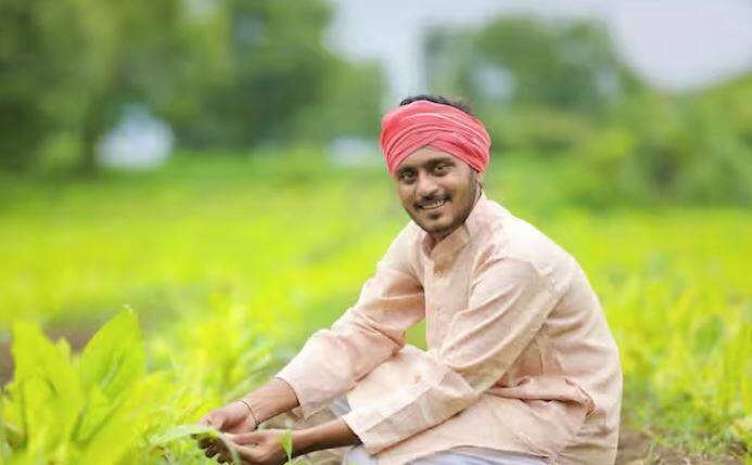 ਹੁਣ ਤੱਕ ਕਿਸਾਨ ਯੋਜਨਾ ਤਹਿਤ ਕਿਸਾਨਾਂ ਨੂੰ ਕੁੱਲ 19 ਕਿਸ਼ਤਾਂ ਭੇਜੀਆਂ ਜਾ ਚੁੱਕੀਆਂ ਹਨ। ਹੁਣ ਕਿਸਾਨ ਇਸ ਯੋਜਨਾ ਤਹਿਤ 20ਵੀਂ ਕਿਸ਼ਤ ਦੀ ਉਡੀਕ ਕਰ ਰਹੇ ਹਨ। ਜੋ ਕਿ ਜੂਨ ਮਹੀਨੇ ਵਿੱਚ ਭੇਜਿਆ ਜਾਵੇਗਾ। ਪਰ ਇਸ ਤੋਂ ਪਹਿਲਾਂ ਇਹ ਕੰਮ ਕਰਨਾ ਪਵੇਗਾ।