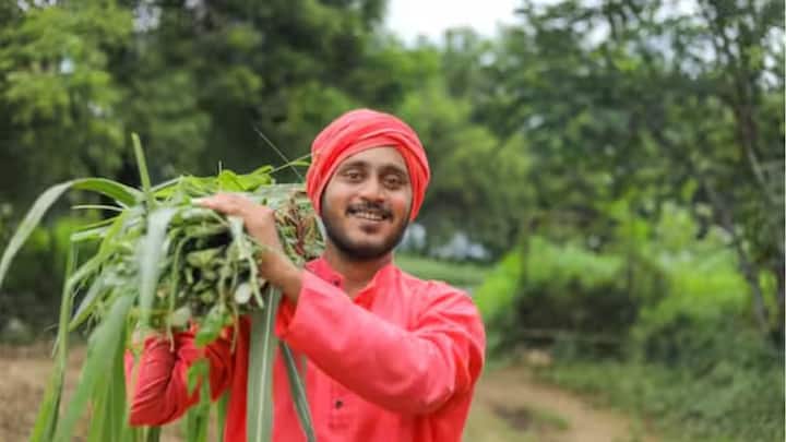 এই যোজনার অধীনে কৃষকদের বছরে ৬ হাজার টাকা করে ভাতা দেওয়া হয়। মোট তিনটি কিস্তিতে এই টাকা আসে।