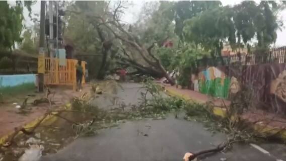 Thunderstorm, Lightning Claim 80 Lives In Bihar, UP; CM Adityanath Announces Ex Gratia