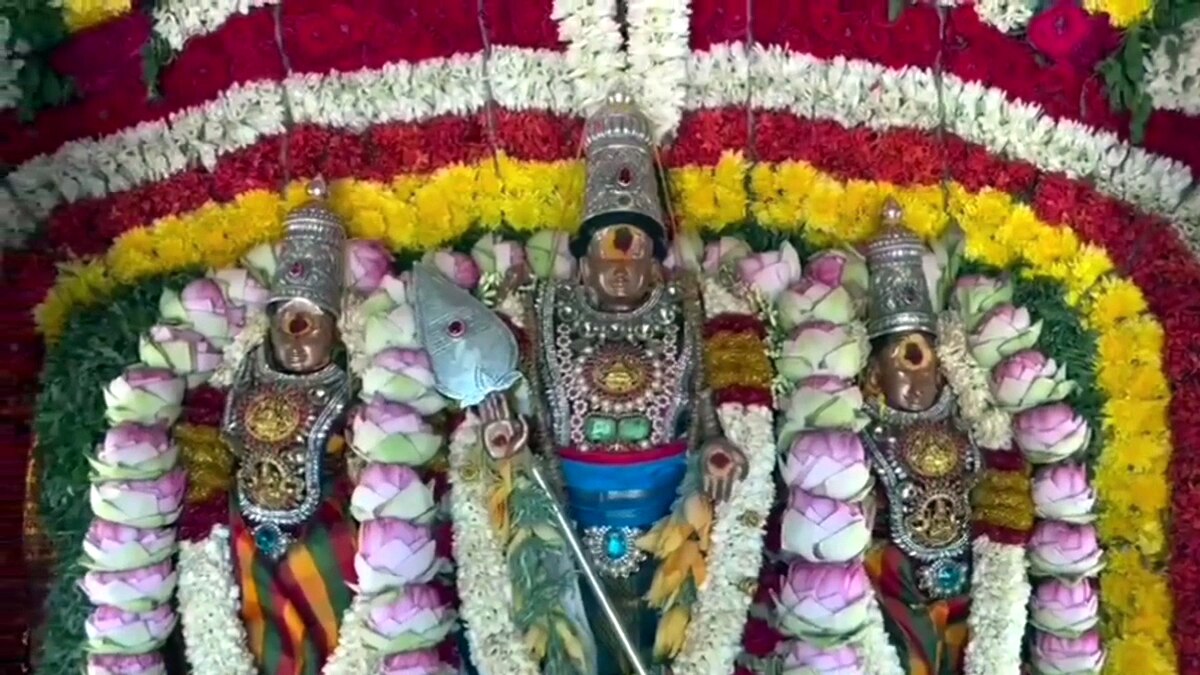 பழனியில் கோலாகலமாக நடந்த பங்குனி உத்திர தேரோட்ட விழா... பரவசத்துடன் பக்தர்கள் வழிபாடு