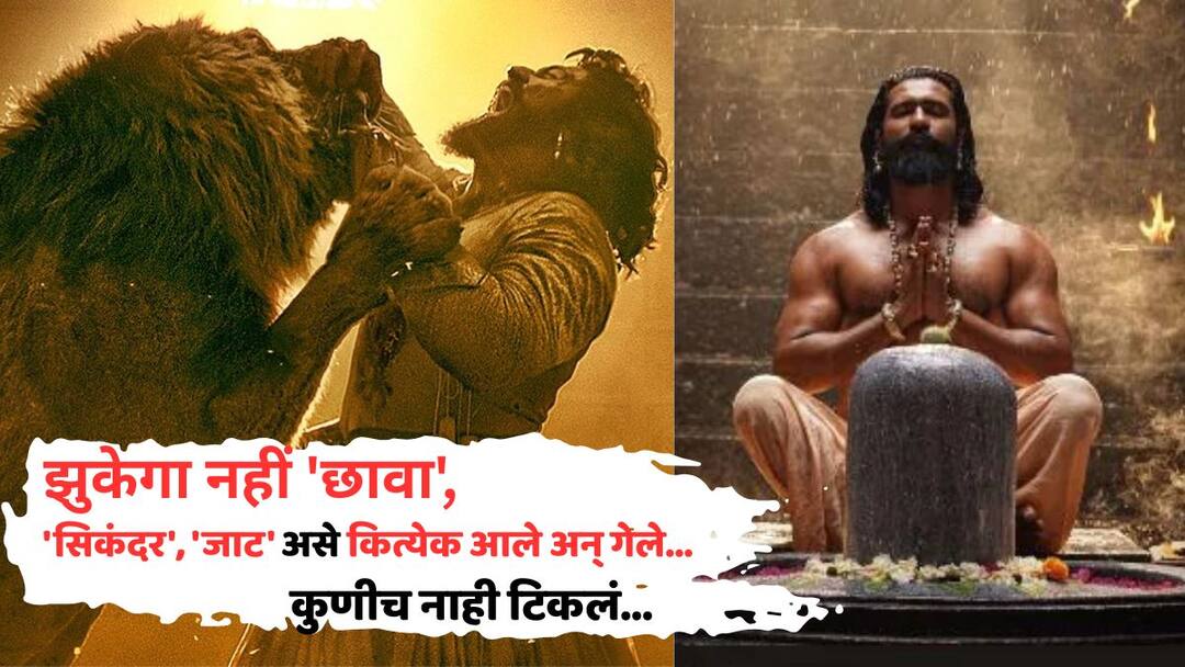 Chhaava Box Office Day 55: झुकेगा नहीं 'छावा', 'सिकंदर', 'जाट' असे कित्येक आले अन् गेले, रिलीजच्या 55 व्या दिवशीही बॉक्स ऑफिसवर धम्माल! Chhaava Box Office Collection Day 55 vicky kaushal rashmika mandanna akshaye khanna movie shines bright despite sikandar jaat storm on wednesday know all details in marathi Chhaava Box Office Day 55: झुकेगा नहीं 'छावा', 'सिकंदर', 'जाट' असे कित्येक आले अन् गेले, रिलीजच्या 55 व्या दिवशीही बॉक्स ऑफिसवर धम्माल!