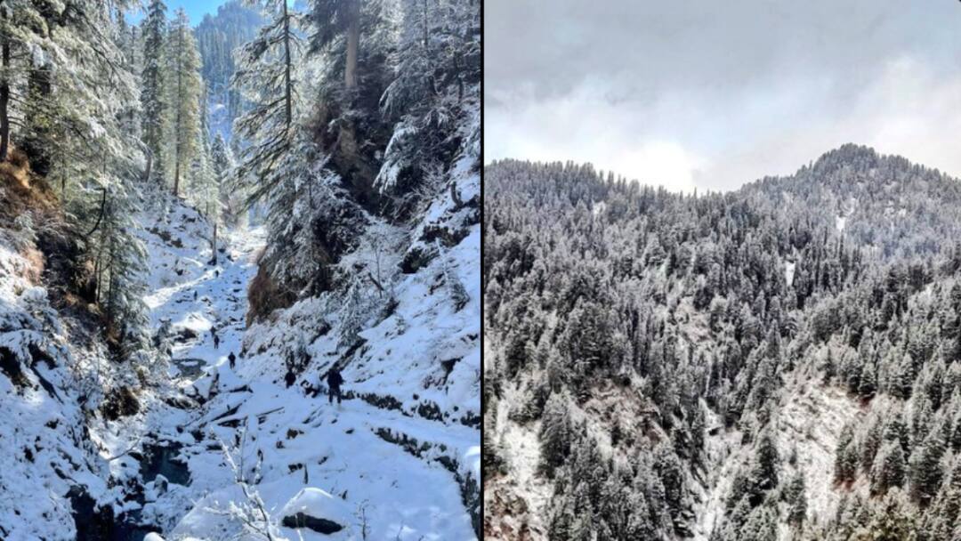 Terrorist Killed In Encounter With Security Forces In J&K's Kishtwar Terrorist Killed In Encounter With Security Forces In J&K's Kishtwar