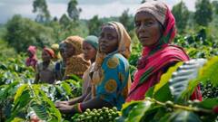 PM Kisan Yojana: আটকে যেতে পারে কিষাণ যোজনার ২০তম কিস্তির টাকা, ৩০ এপ্রিলের আগেই করতে হবে এই কাজ