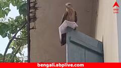 অ্যাডমিট কার্ড ছোঁ মেরে নিয়ে পালাল চিল ! সরকারি চাকরির পরীক্ষা দিতে গিয়ে মাথায় হাত প্রার্থীর ! কী হল তারপর ?