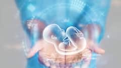 Embryo Mix-up Case: সন্তান জন্মানোর পর জানা গেল IVF ক্লিনিকে ভ্রূণ অদলবদল হয়েছে, একরত্তির উপর অধিকার নিয়ে টানাপোড়েন