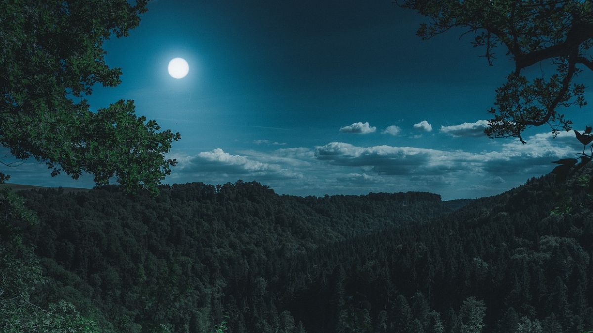 Pink Moon 2025: என்னது பிங் மூனா! அப்படினா என்ன?, எப்போது?, இந்தியாவில் தெரியுமா?
