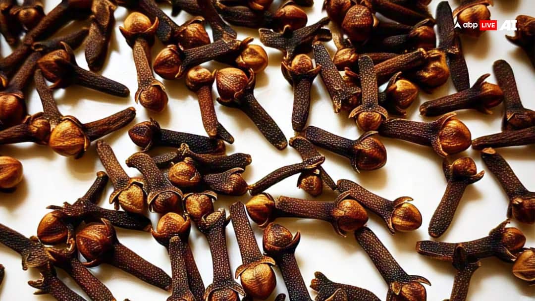 Clove is full of medicinal properties but what does research say about its consumption in summer ANNA औषधीय गुणों से भरपूर, क्या गर्मियों में खाने के लिए इस्तेमाल कर सकते हैं लौंग? रिसर्च में सामने आया सच