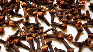 औषधीय गुणों से भरपूर, क्या गर्मियों में खाने के लिए इस्तेमाल कर सकते हैं लौंग? रिसर्च में सामने आया सच