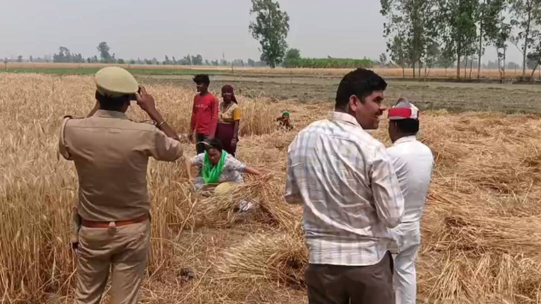 Pilibhit Officers are doing sycophancy to meet target of wheat procurement ANN पीलीभीत: गेंहू खरीद का लक्ष्य पूरा करने के लिए अफसर कर रहे जी हजूरी, फिर भी नहीं आ रहे किसान